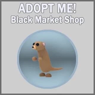 Meerkat