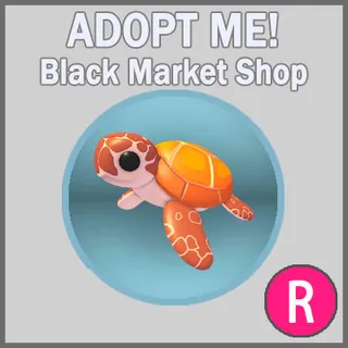 Sea Turtle R