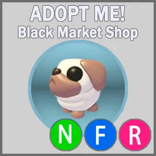 Snowball Pug NFR