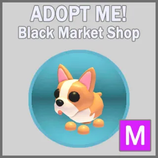 French Bulldog M