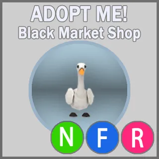 Swan NFR