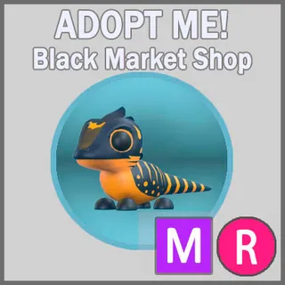 Tegu MR