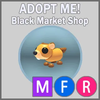 Groundhog MFR