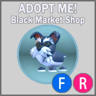 Mini Schnauzer FR