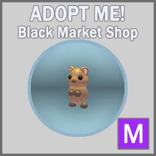 Quokka M