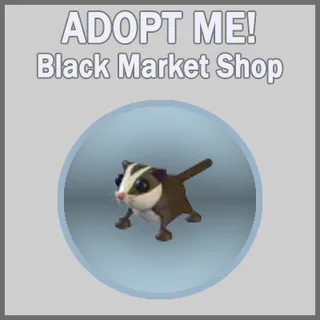 Sugar Glider