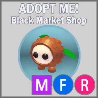 Coconut Friend MFR