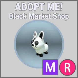 Moon Rabbit MR