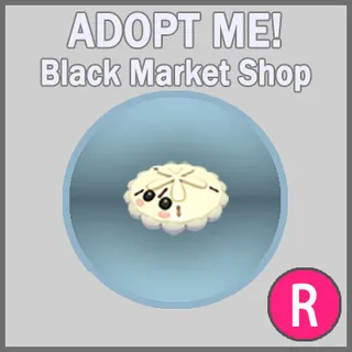 White Sand Dollar R