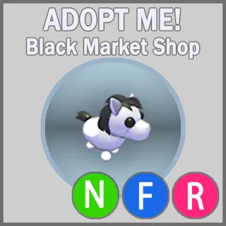 Shetland Pony White NFR