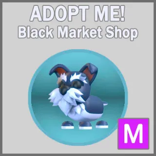 Mini Schnauzer M