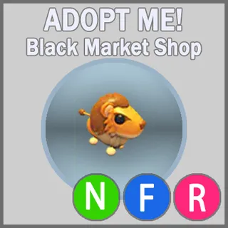 Steppe Lion NFR