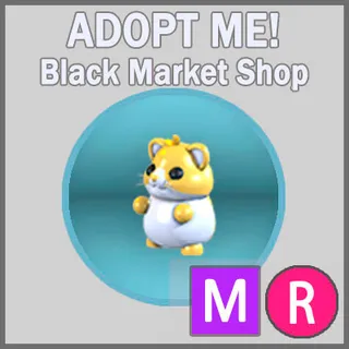 Golden Hamster MR