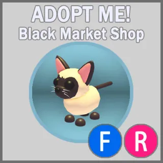 Siamese Cat FR