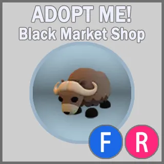 Musk Ox FR
