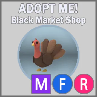 Turkey MFR