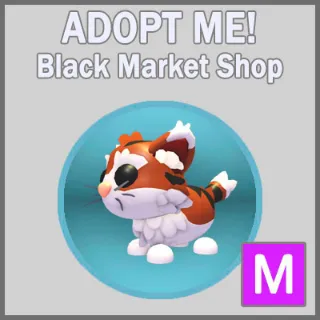 Munchkin Cat M