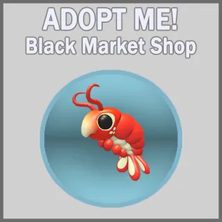 Emperor Shrimp