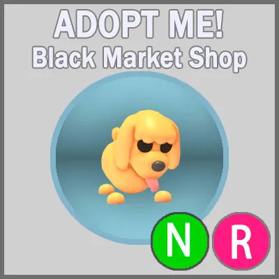 รายการภาพถ่าย