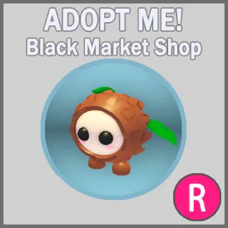 Coconut Friend R