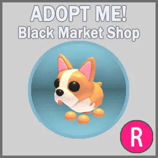 French Bulldog R