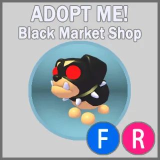 The Black Dog FR