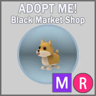Shiba Inu MR
