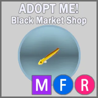 Eel MFR