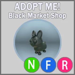 Amami Rabbit NFR