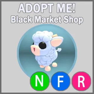 Angus Calf NFR