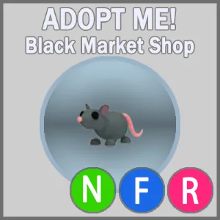 Rat NFR