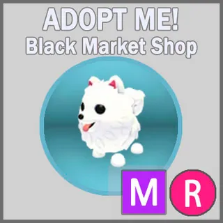 Samoyed MR