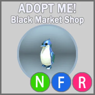 Diamond King Penguin NFR