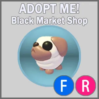 Snowball Pug FR