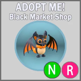 Indian Flying Fox NR