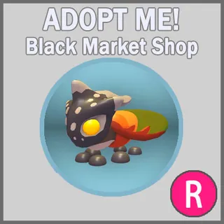 Tri-horned Treehopper R