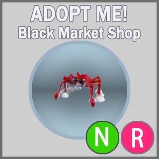 Spider Crab NR