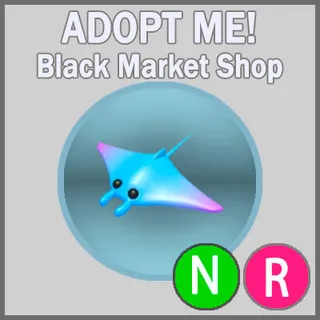 Manta Ray NR