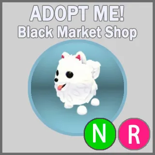 Samoyed NR