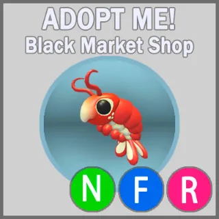 Emperor Shrimp NFR