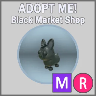 Amami Rabbit MR