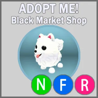 Samoyed NFR