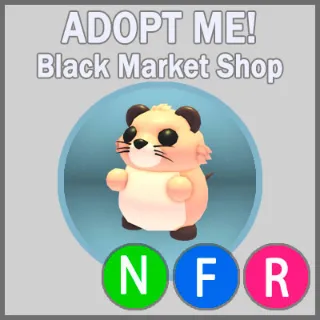Muskrat NFR