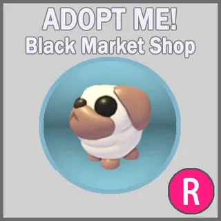 Snowball Pug R