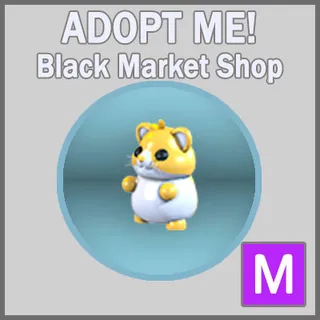 Golden Hamster M