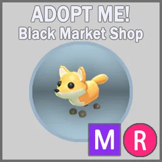 Red Fox MR