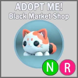 Mochi Meow NR