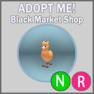 รายการภาพถ่าย