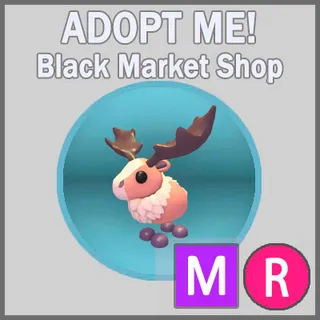 Papa Moose MR