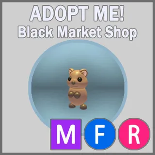 Quokka MFR